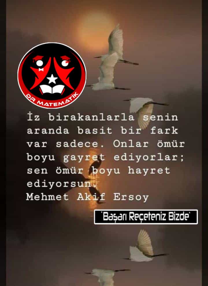 1 ekstralar (22).jpg